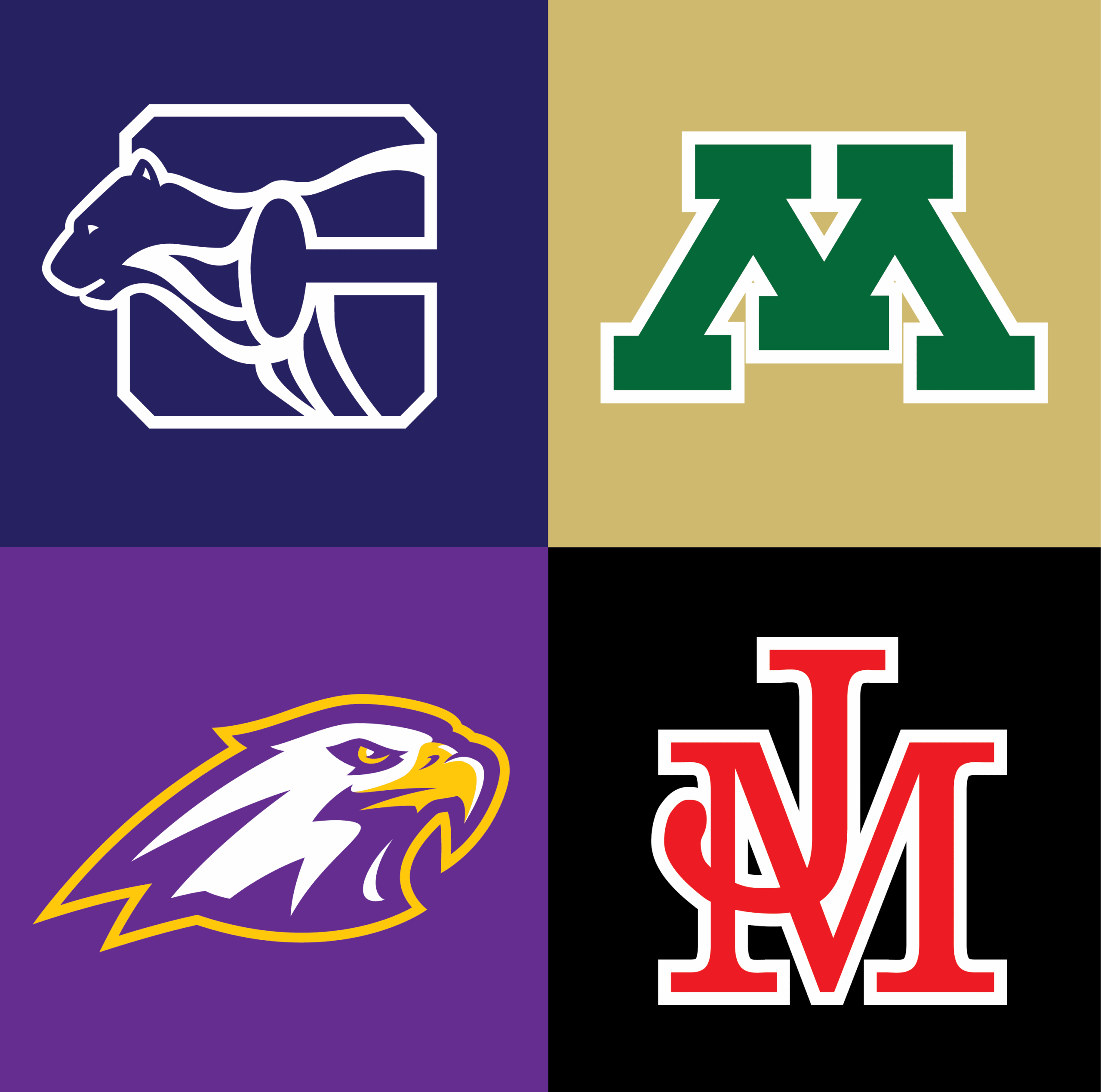 Screen printing for sports teams, schools, and organizations in rochester minnesota